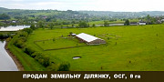 Продам земельну ділянку, ОСГ, 8 га. Івано-Франківськ