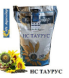Насіння соняшника НС Тавр. Київ