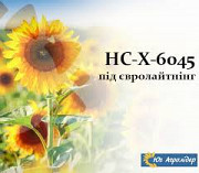 Насіння соняшнику НС - Х - 6045, під євро-лайтнінг. Київ