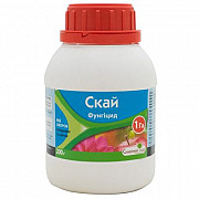 Скаїв 2 га. Херсон