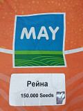 Продам насіння соняшнику. Вінниця