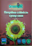 Купити насіння соняшнику Дует КЛ. Київ