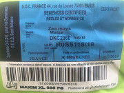 Сім'я кукурудзи Monsanto ДКС 2960 ФАО 250. Київ