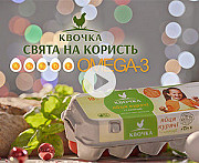 Куряче яйце. Волноваха