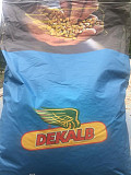 Кукурудза насіння Monsanto ДКС 2960 (ФАО 250). Київ