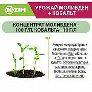 Мікродобриво "Урожай" Молібден + Кобальт рідке. Київ