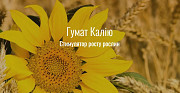 Ґумат калію рідкий. Київ