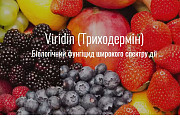 Віридін (Триходермін). Київ