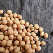 Куплю сою. Закупівля сої. Продам сою. Київ