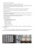 Продам промисловий маркувальний комплекс "MARK EGGS HP-16800". Харків