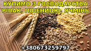 Купуємо з господарства пшеницю, ячмінь, ріпак. -> Купуємо з господарства пшеницю, ячмінь, ріпак. Кам'янське