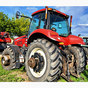 Трактор Case IH Magnum 310, Полтавська область. Украина