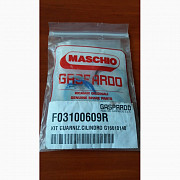 F03100609 Ремкомплект гідроциліндра маркера ГАСПАРДО (03100609 Gaspardo), Запорізька область. Україна