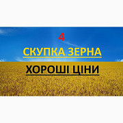 Дорого і постійно кукурудза, Закарпатська область. Україна