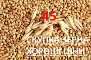 Зерноторгова компанія постійно закуповує зернові відходи кукурудзи в Харківській області. Україна