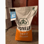 PIONEER P8271 (Піонер Р8271) - насіння кукурудзи, Київська область. Україна