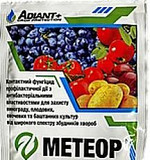 Міджет 60 гр Адіант. Херсон