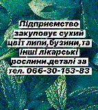Купую лікарські рослини. Полтава