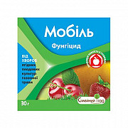 Мобіль 3 г. Херсон