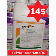 Розпродаж Фунгіциду Ікарус Турбо 5л від Sumi Agro. Японія, у нас завжди кращі ціни. Готівка. Чернівц Україна