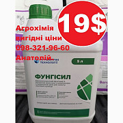 Фунгіцид Фунгісил АХТ, розпродаж, найкраща ціна, купити, Фунгісил ціна, доставка, Київ. Україна