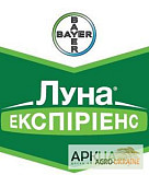Куплю Тітус, Авіатор, Ширлан. Також купую фалькон, дерозал, куплю кароген, Львівська область. Україна