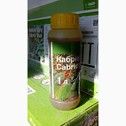 Кабріо Дуо - фунгіцид для овочевих культур, Київська область. Украина
