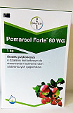Pomarsol Forte 80 wg (Помарсол Форте) 1 кг - контактний фунгіцид від мучниці та сірої гнилі, Волинсь Україна