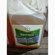 Зантара - системний фунгіцид для захисту пшениці та ячменю, Київська область. Україна
