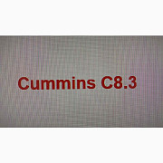 Запчастини для двигуна Cummins C8.3, Київ. Україна