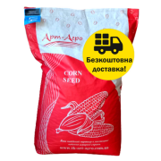 Кукурудза гібрид АРЛЕН (FAO 300), Київ. Україна