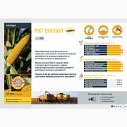 Насіння кукурудзи EXACT RAGT, Харківська область. Україна