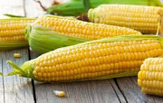 Продам кукурудзу, Волинська область. Україна