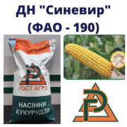 Сім'я кукурудзи ДН Синевир ФАО 190 Рост Агро, Київ. Україна