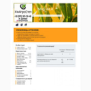 Насіння кукурудзи MAS 44.A (FAO 380), Дніпропетровська область. Україна