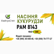 ТОВ "ХімАгроСтеп" пропонує насіння кукурудзи РАМ 8143 (ФАО 260), Дніпропетровська область. Україна