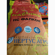 Подсоняшник НС Фалькон (A- G+), Дніпропетровська область. Україна