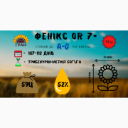 Посівний матеріал соняшника Гібрид Фенікс OR7, Київська область. Україна