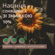 Посівний матеріал соняшника Гібрид Фенікс OR7, Київська область. Україна