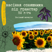 Продам насіння соняшнику під Гранстар (50 г/га), Київська область. Україна