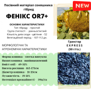 НОВИНКА!!! Гібрид ФЕНІКС - посівний матеріал соняшника під Гранстар, Київська область. Україна