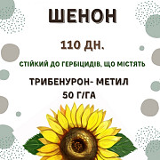 Продам насіння соняшника під гібрид - ШЕНОН OR7+ (110 днів), Київська область. Україна