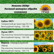 Новинки 2023! Посівний матеріал гібридів соняшника, Одеська область. Україна