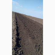 Оранка полів, Черкаська область. Україна