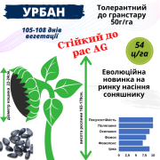 Новинка!!! Насіння Соняшника Гібрид - УРБАН OR7 (SU), Київська область. Україна
