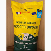 Гібрид соняшнику Бесана, Харківська область. Україна