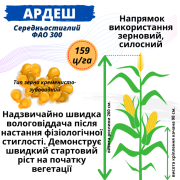 Посівний матеріал соняшника та кукурудзи, Одеська область. Україна