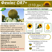 Гібрид соняшника стійкий до посухи - ФЕНІКС OR7+, НОВИНКА на ринку України, Київська область. Україна