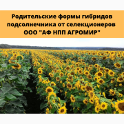 Родительські компоненти для гібридизації соняшнику, Харківська область. Україна
