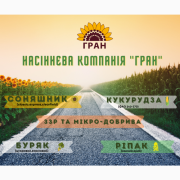 На весняне посіву 2021 року пропонується насіння соняшнику та кукурудзи за доступними цінами, Київ. Україна